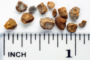 A bunch of small stones showing their size on a ruler. Most are around 1/8 inch.